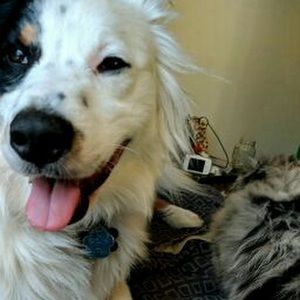 Meet your Posher, Tayler